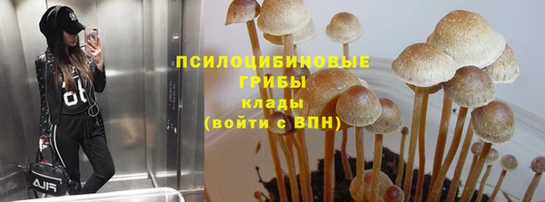 дмт Алзамай