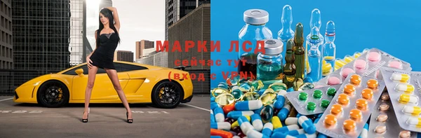 дмт Алзамай