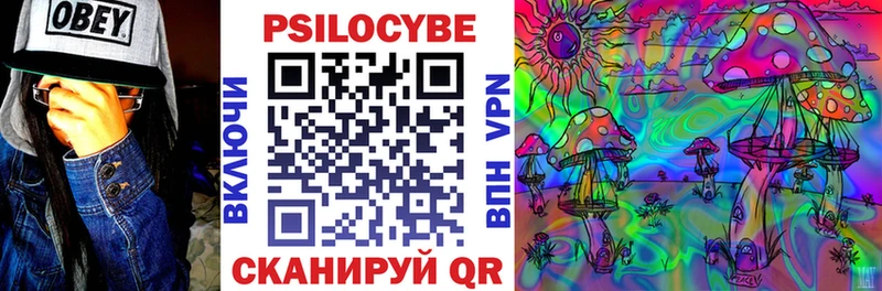 Псилоцибиновые грибы мицелий  Пугачёв 