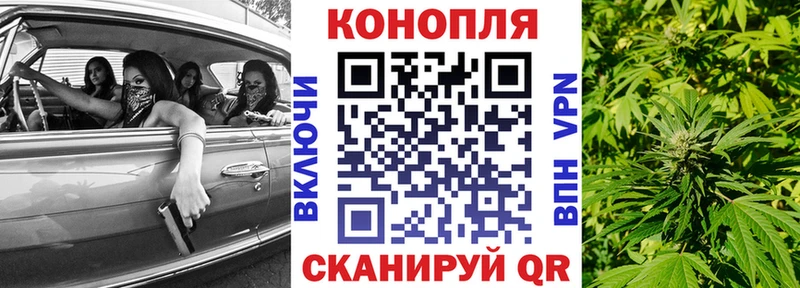Конопля индика  Пугачёв 
